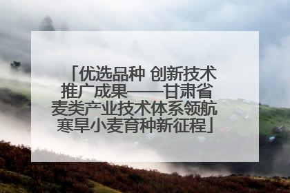 优选品种 创新技术 推广成果——甘肃省麦类产业技术体系领航寒旱小麦育种新征程