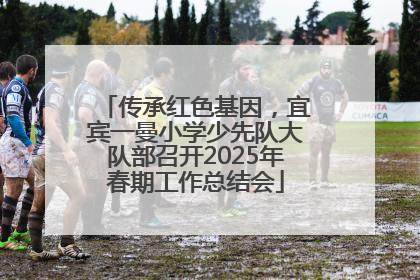 传承红色基因，宜宾一曼小学少先队大队部召开2025年春期工作总结会