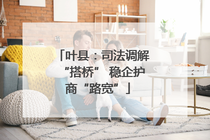 叶县：司法调解“搭桥” 稳企护商“路宽”