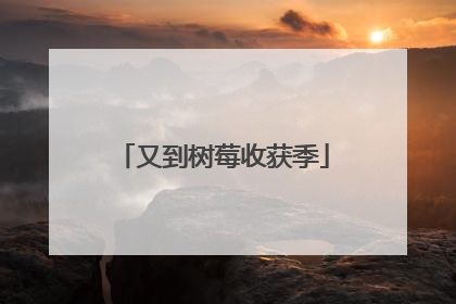 又到树莓收获季