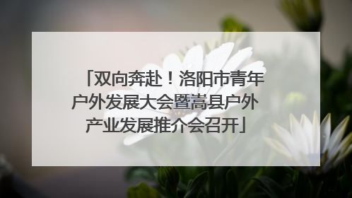 双向奔赴！洛阳市青年户外发展大会暨嵩县户外产业发展推介会召开