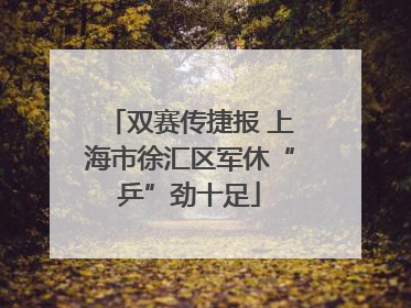 双赛传捷报 上海市徐汇区军休“乒”劲十足