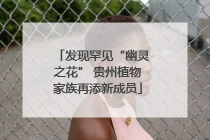 发现罕见“幽灵之花” 贵州植物家族再添新成员