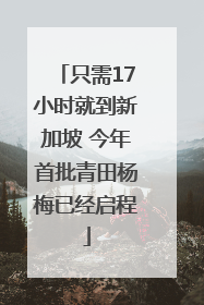 只需17小时就到新加坡 今年首批青田杨梅已经启程