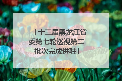 十三届黑龙江省委第七轮巡视第二批次完成进驻