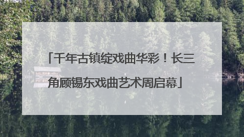 千年古镇绽戏曲华彩！长三角顾锡东戏曲艺术周启幕