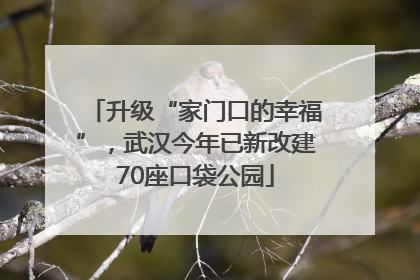 升级“家门口的幸福”，武汉今年已新改建70座口袋公园