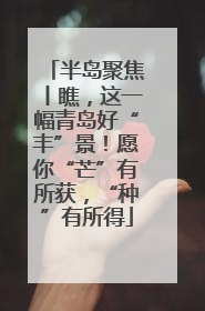 半岛聚焦丨瞧，这一幅青岛好“丰”景！愿你“芒”有所获，“种”有所得