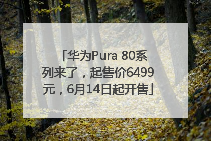华为Pura 80系列来了，起售价6499元，6月14日起开售