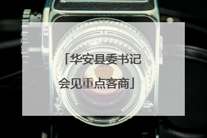 华安县委书记会见重点客商