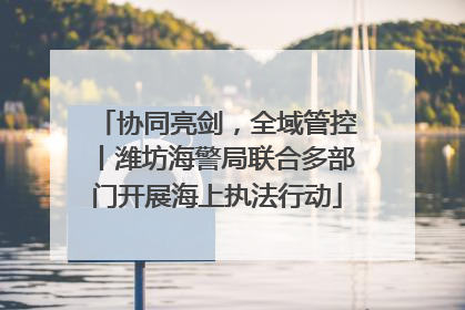 协同亮剑，全域管控丨潍坊海警局联合多部门开展海上执法行动
