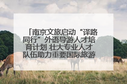 南京文旅启动“译路同行”外语导游人才培育计划 壮大专业人才队伍助力重要国际旅游目的地建设