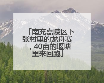 南充嘉陵区下张村里的龙舟赛，40亩的堰塘里来回跑