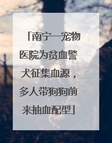 南宁一宠物医院为贫血警犬征集血源，多人带狗狗前来抽血配型