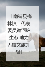 南靖县梅林镇：代表委员巡河护生态 助力古镇文旅升级
