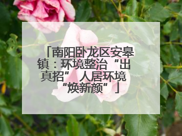 南阳卧龙区安皋镇：环境整治“出真招” 人居环境“焕新颜”