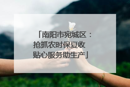 南阳市宛城区：抢抓农时保夏收 贴心服务助生产