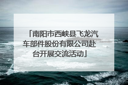 南阳市西峡县飞龙汽车部件股份有限公司赴台开展交流活动