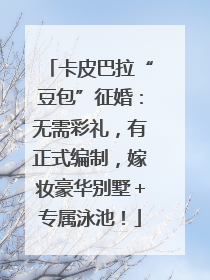 卡皮巴拉“豆包”征婚：无需彩礼，有正式编制，嫁妆豪华别墅＋专属泳池！