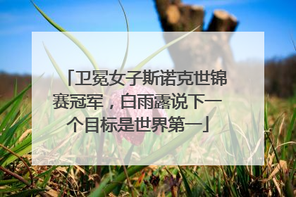 卫冕女子斯诺克世锦赛冠军，白雨露说下一个目标是世界第一