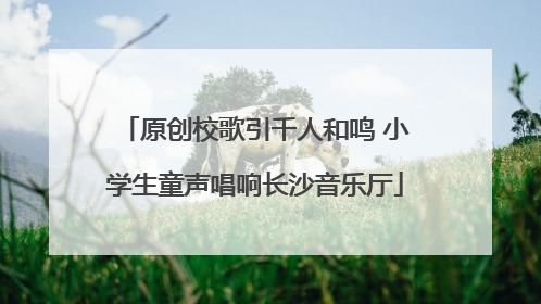 原创校歌引千人和鸣 小学生童声唱响长沙音乐厅