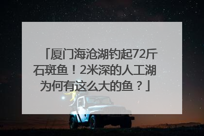 厦门海沧湖钓起72斤石斑鱼！2米深的人工湖为何有这么大的鱼？