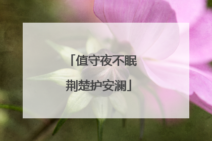 值守夜不眠 荆楚护安澜