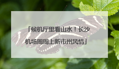 候机厅里看山水！长沙机场周周上新市州风情