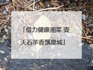借力健康湘菜 壶天石羊香飘星城