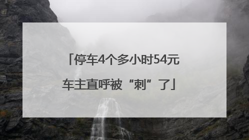 停车4个多小时54元 车主直呼被“刺”了