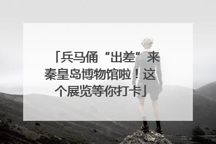 兵马俑“出差”来秦皇岛博物馆啦！这个展览等你打卡