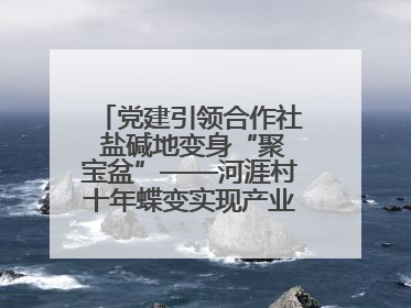 党建引领合作社 盐碱地变身“聚宝盆”——河涯村十年蝶变实现产业兴村群众富
