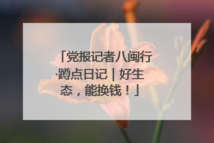 党报记者八闽行·蹲点日记｜好生态，能换钱！