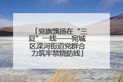 党旗飘扬在“三夏”一线——宛城区溧河街道党群合力筑牢禁烧防线
