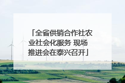 全省供销合作社农业社会化服务 现场推进会在泰兴召开