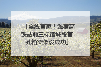 全线首家！潍宿高铁站前三标诸城段首孔箱梁架设成功