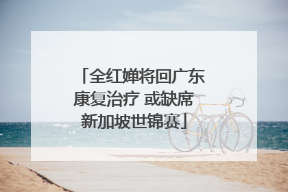 全红婵将回广东康复治疗 或缺席新加坡世锦赛