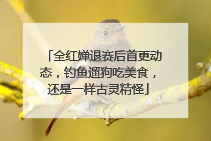 全红婵退赛后首更动态，钓鱼遛狗吃美食，还是一样古灵精怪