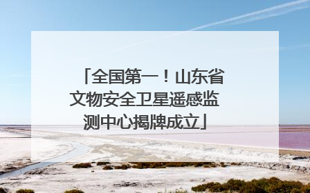 全国第一！山东省文物安全卫星遥感监测中心揭牌成立