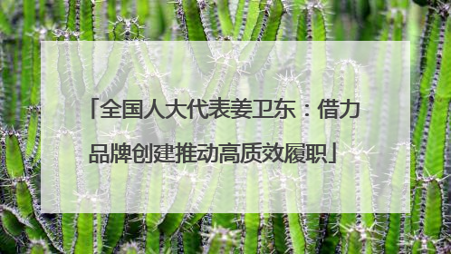全国人大代表姜卫东：借力品牌创建推动高质效履职