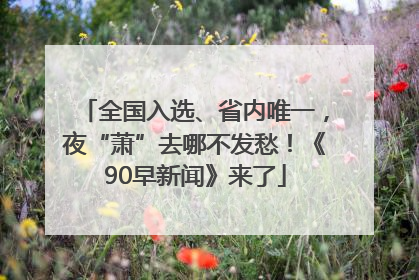 全国入选、省内唯一，夜“萧”去哪不发愁！《90早新闻》来了