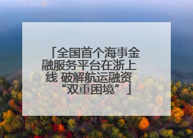 全国首个海事金融服务平台在浙上线 破解航运融资“双重困境”