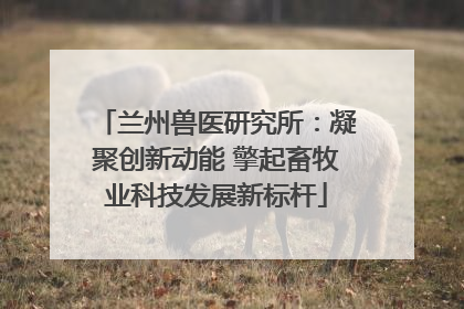 兰州兽医研究所：凝聚创新动能 擎起畜牧业科技发展新标杆