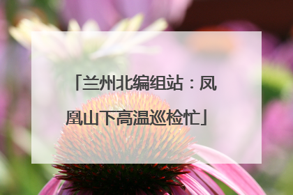 兰州北编组站：凤凰山下高温巡检忙