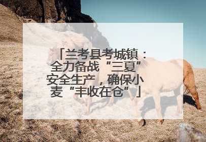 兰考县考城镇：全力备战“三夏”安全生产，确保小麦“丰收在仓”