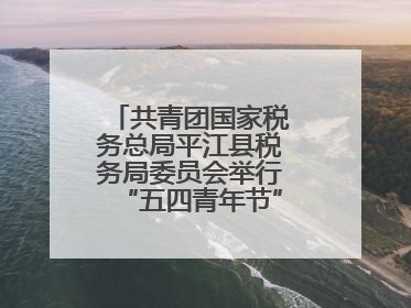 共青团国家税务总局平江县税务局委员会举行“五四青年节”主题团日活动