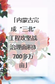 内蒙古完成“三北”工程攻坚战治理面积3700多万亩