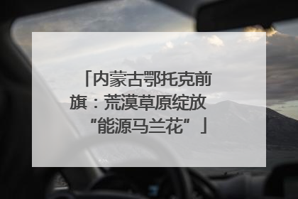 内蒙古鄂托克前旗：荒漠草原绽放“能源马兰花”