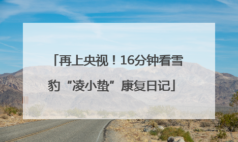 再上央视！16分钟看雪豹“凌小蛰”康复日记