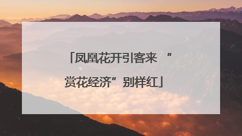 凤凰花开引客来 “赏花经济”别样红